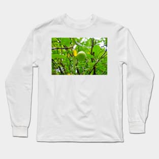 6337 Study 7 Long Sleeve T-Shirt